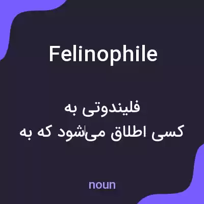 معنی felinophile به فارسی معنی felinophile به فارسی