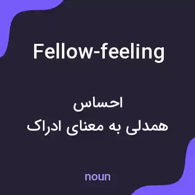 معنی fellow-feeling به فارسی معنی fellow-feeling به فارسی