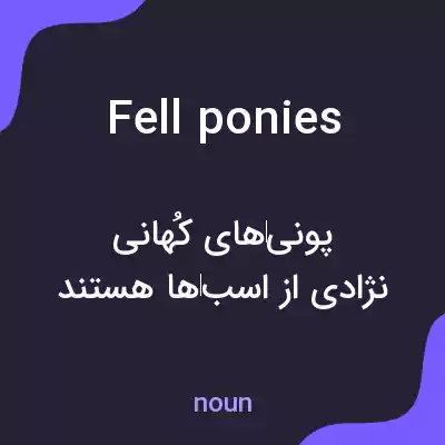 معنی fell ponies به فارسی معنی fell ponies به فارسی