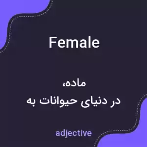 معنی female به فارسی