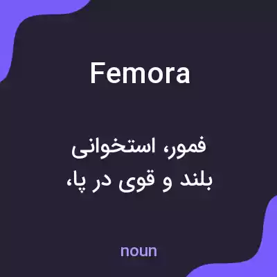 معنی femora به فارسی معنی femora به فارسی