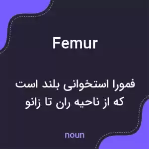 معنی femur به فارسی معنی femur به فارسی
