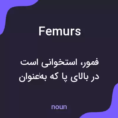 معنی femurs به فارسی معنی femurs به فارسی