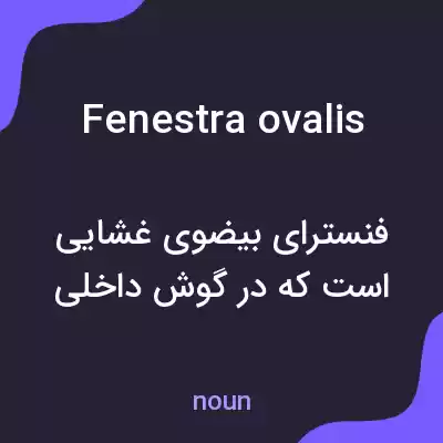 معنی fenestra ovalis به فارسی معنی fenestra ovalis به فارسی