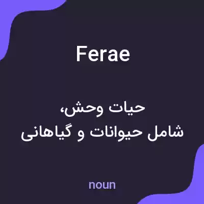 معنی ferae به فارسی معنی ferae به فارسی