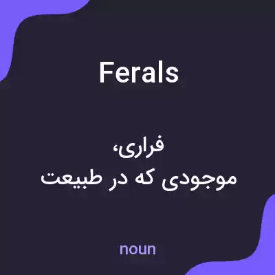 معنی ferals به فارسی معنی ferals به فارسی
