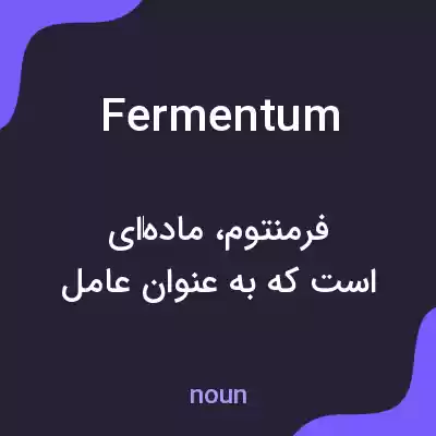 معنی fermentum به فارسی