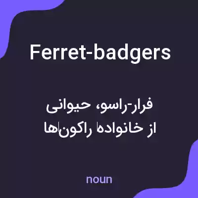 معنی ferret-badgers به فارسی معنی ferret-badgers به فارسی