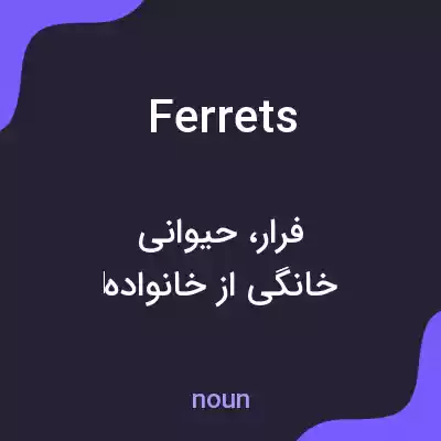 معنی ferrets به فارسی معنی ferrets به فارسی