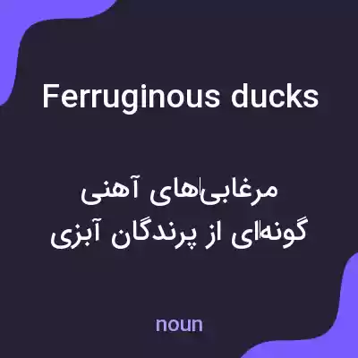 معنی ferruginous ducks به فارسی معنی ferruginous ducks به فارسی