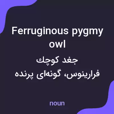 معنی ferruginous pygmy owl به فارسی معنی ferruginous pygmy owl به فارسی