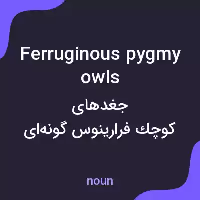 معنی ferruginous pygmy owls به فارسی معنی ferruginous pygmy owls به فارسی