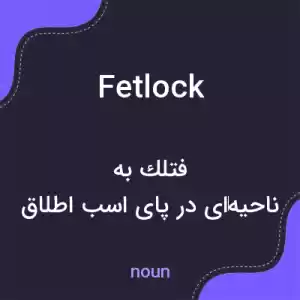 معنی fetlock به فارسی معنی fetlock به فارسی