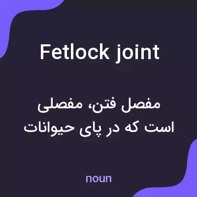 معنی fetlock joint به فارسی معنی fetlock joint به فارسی