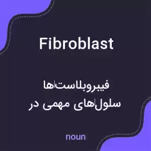 معنی fibroblast به فارسی معنی fibroblast به فارسی