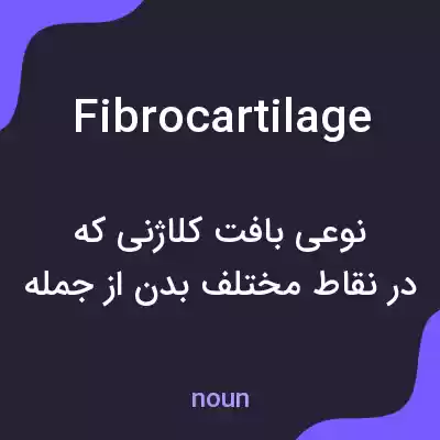 معنی fibrocartilage به فارسی معنی fibrocartilage به فارسی