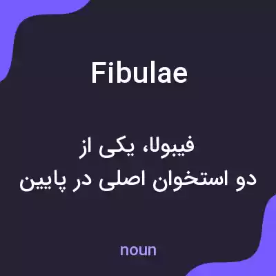 معنی fibulae به فارسی معنی fibulae به فارسی