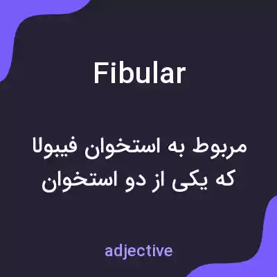 معنی fibular به فارسی معنی fibular به فارسی