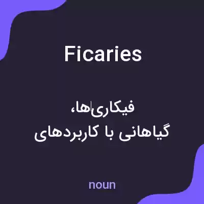 معنی ficaries به فارسی معنی ficaries به فارسی