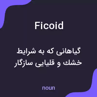 معنی ficoid به فارسی معنی ficoid به فارسی