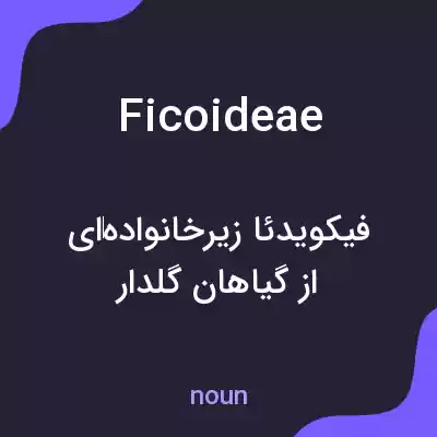 معنی ficoideae به فارسی معنی ficoideae به فارسی