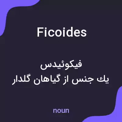 معنی ficoides به فارسی معنی ficoides به فارسی