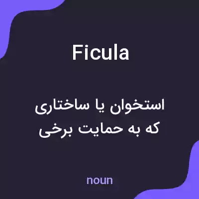 معنی ficula به فارسی معنی ficula به فارسی