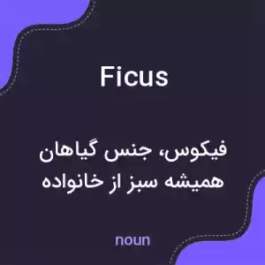 معنی ficus به فارسی معنی ficus به فارسی