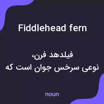 معنی fiddlehead fern به فارسی