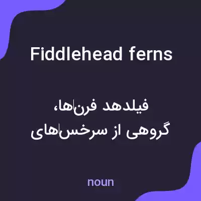 معنی fiddlehead ferns به فارسی معنی fiddlehead ferns به فارسی