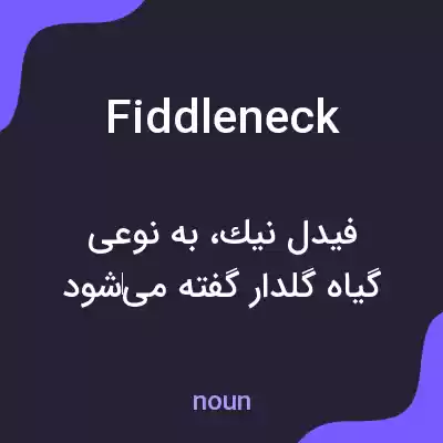 معنی fiddleneck به فارسی
