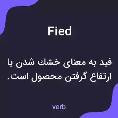 معنی fied به فارسی معنی fied به فارسی