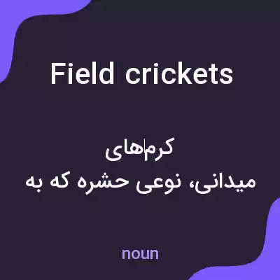 معنی field crickets به فارسی معنی field crickets به فارسی