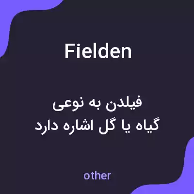 معنی fielden به فارسی معنی fielden به فارسی