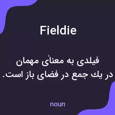 معنی fieldie به فارسی معنی fieldie به فارسی