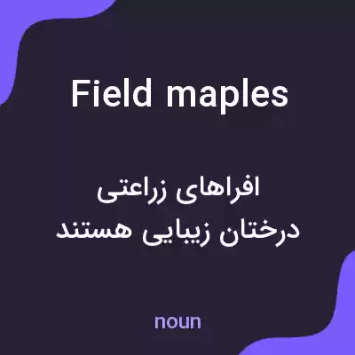معنی field maples به فارسی معنی field maples به فارسی