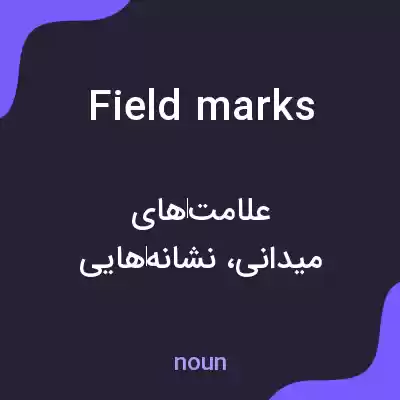 معنی field marks به فارسی معنی field marks به فارسی