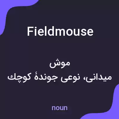 معنی field mouse به فارسی معنی field mouse به فارسی