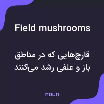 معنی field mushrooms به فارسی معنی field mushrooms به فارسی