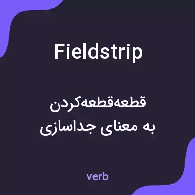 معنی fieldstrip به فارسی معنی fieldstrip به فارسی