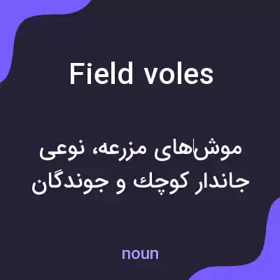 معنی field voles به فارسی معنی field voles به فارسی