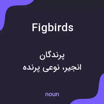 معنی figbirds به فارسی معنی figbirds به فارسی