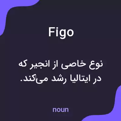 معنی figo به فارسی معنی figo به فارسی
