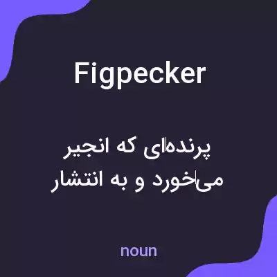 معنی figpecker به فارسی معنی figpecker به فارسی