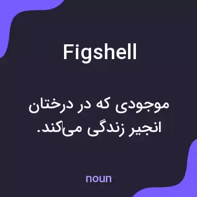 معنی figshell به فارسی معنی figshell به فارسی