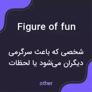 معنی figure of fun به فارسی