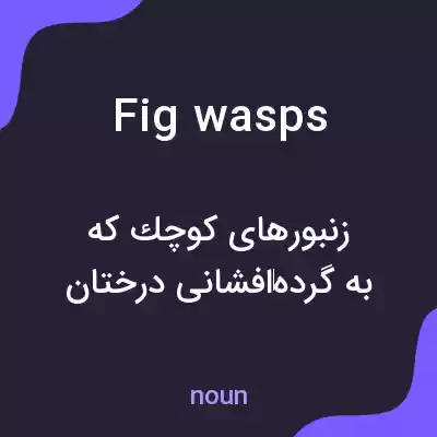 معنی fig wasps به فارسی معنی fig wasps به فارسی