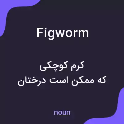 معنی figworm به فارسی معنی figworm به فارسی