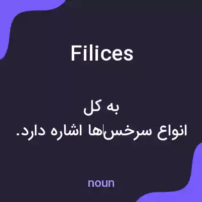 معنی filices به فارسی معنی filices به فارسی