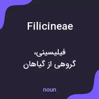 معنی filicineae به فارسی معنی filicineae به فارسی